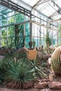 Pig statue in the middle of an arid greenhouse garden Royalty Free Stock Photo