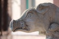 Pig stone gargoyle