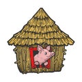 pig in straw house color sketch vector