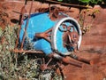 Pig-styled old barrell art installation at Burkes Pass village on the South Island of New Zealand