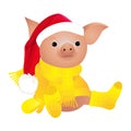 Pig in sweater. 2019 Chinese New Year of the Pig. Christmas greeting card. Isolated on a white background. Royalty Free Stock Photo