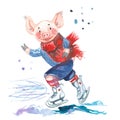 Pig in sweater on skates. 2019 Chinese New Year of the Pig. Christmas greeting card. Isolated on a white background. Royalty Free Stock Photo