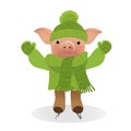 Pig in sweater on skates. 2019 Chinese New Year of the Pig. Christmas greeting card Royalty Free Stock Photo