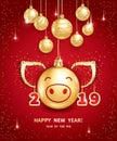 2019 Year of the PIG