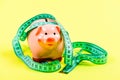 Pig trap. Budget crisis. Planning budget. Business problem. Limited or restricted. Piggy bank and measuring tape. Budget Royalty Free Stock Photo