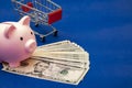 pig and 100 us dollars, blue background.