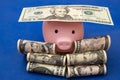 pig and 100 us dollars, blue background.
