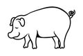 Pig vector illustration.Cartoon pig vector