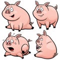 Pig