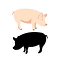 Pig vector illustration Flat style black Royalty Free Stock Photo