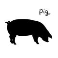 Pig of vector illustration. Silhouette farming animal