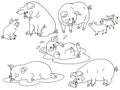 Pig Vector Set Royalty Free Stock Photo