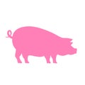 Pig vector silhouette icon Royalty Free Stock Photo