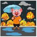 Pig walks in the Park in the autumn rain. Vector illustration Royalty Free Stock Photo