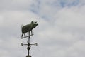 Pig weathervane in the sky