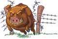 Pig or Wild Boar Crashing Through Fence Vector Cartoon Royalty Free Stock Photo