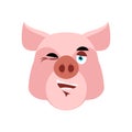 Pig winking Emoji. piggy merry emotion on white background. Farm