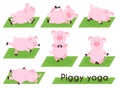 Pig yoga. Cute pig in different yoga poses