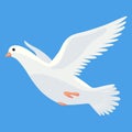 Pigeon animation. Bird motion wings in heaven. Flying migratory pigeon, cartoon vector illustration. Bird dove animation