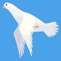 Pigeon animation. Bird motion wings in heaven. Flying migratory pigeon, cartoon vector illustration. Bird dove animation