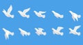 Pigeon animation. Bird motion wings in heaven. Flying migratory pigeon, cartoon vector illustration. Bird dove animation