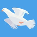 Pigeon animation. Bird motion wings in heaven. Flying migratory pigeon, cartoon vector illustration. Bird dove animation