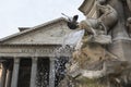 Pigeon approaches the fountain, front of pantheon at piazza della rotonda in rome Royalty Free Stock Photo