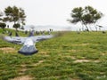 Pigeon from back view in flight with the Wings opened wide over City park and seaside background in izmir, Turkey