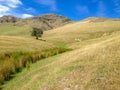 Pigeon Bay on Banks Peninsula, Canterbury, South Island, New Zealand