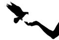 Pigeon bird flies on woman`s hand that has food for birds, silhouettes. Vector illustration