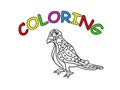 Pigeon bird hand drawing coloring page. Modern doodle contour illustration black Royalty Free Stock Photo