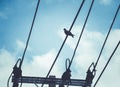 Pigeon bird is sitting on the Electrical powered pillar Royalty Free Stock Photo