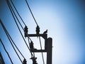 Pigeon bird is sitting on the Electrical powered pillar Royalty Free Stock Photo