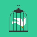 Pigeon in cage. Bird in cage. Concept of unfreedom Royalty Free Stock Photo