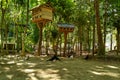 Pigeon cage made on a tree trunk in Langsa City Forest Park, Indonesia