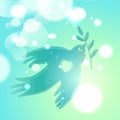 Pigeon carries olive branch, peace and hope symbol