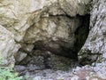 Pigeon cave in the forest park Golubinjak, Sleme - Gorski kotar, Croatia / Golubinja spilja u park ÃÂ¡umi Golubinjak, Sleme