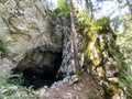 Pigeon cave in the forest park Golubinjak, Sleme - Gorski kotar, Croatia / Golubinja spilja u park ÃÂ¡umi Golubinjak, Sleme