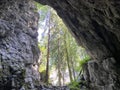 Pigeon cave in the forest park Golubinjak, Sleme - Gorski kotar, Croatia / Golubinja spilja u park ÃÂ¡umi Golubinjak, Sleme