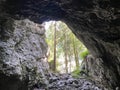 Pigeon cave in the forest park Golubinjak, Sleme - Gorski kotar, Croatia / Golubinja spilja u park ÃÂ¡umi Golubinjak, Sleme