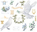 Pigeon and olive Antique Post set clip art digital drawing watercolor bird fly peace dove for wedding celebration Royalty Free Stock Photo