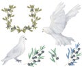 Pigeon and olive clip art digital drawing watercolor bird fly peace dove for wedding celebration illustration similar on