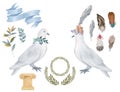 Pigeon clip art digital drawing watercolor bird fly peace dove for wedding celebration illustration similar on white Royalty Free Stock Photo