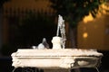 A pigeon cools off in a fountain in seville. It\'s hot in summer and the pigeon takes a bath