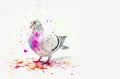 Pigeon covered in vibrant holi colors against a clean white backdrop, holi banner