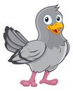 Pigeon Cute Cartoon Dove Bird