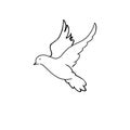 Pigeon dove black line art on white background