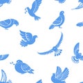 Pigeon or dove, white bird flying with spread wings in sky or sitting seamless pattern. Royalty Free Stock Photo