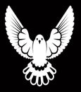 Pigeon or dove, white bird