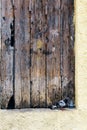 A pigeon drinking water on an old wooden door Royalty Free Stock Photo